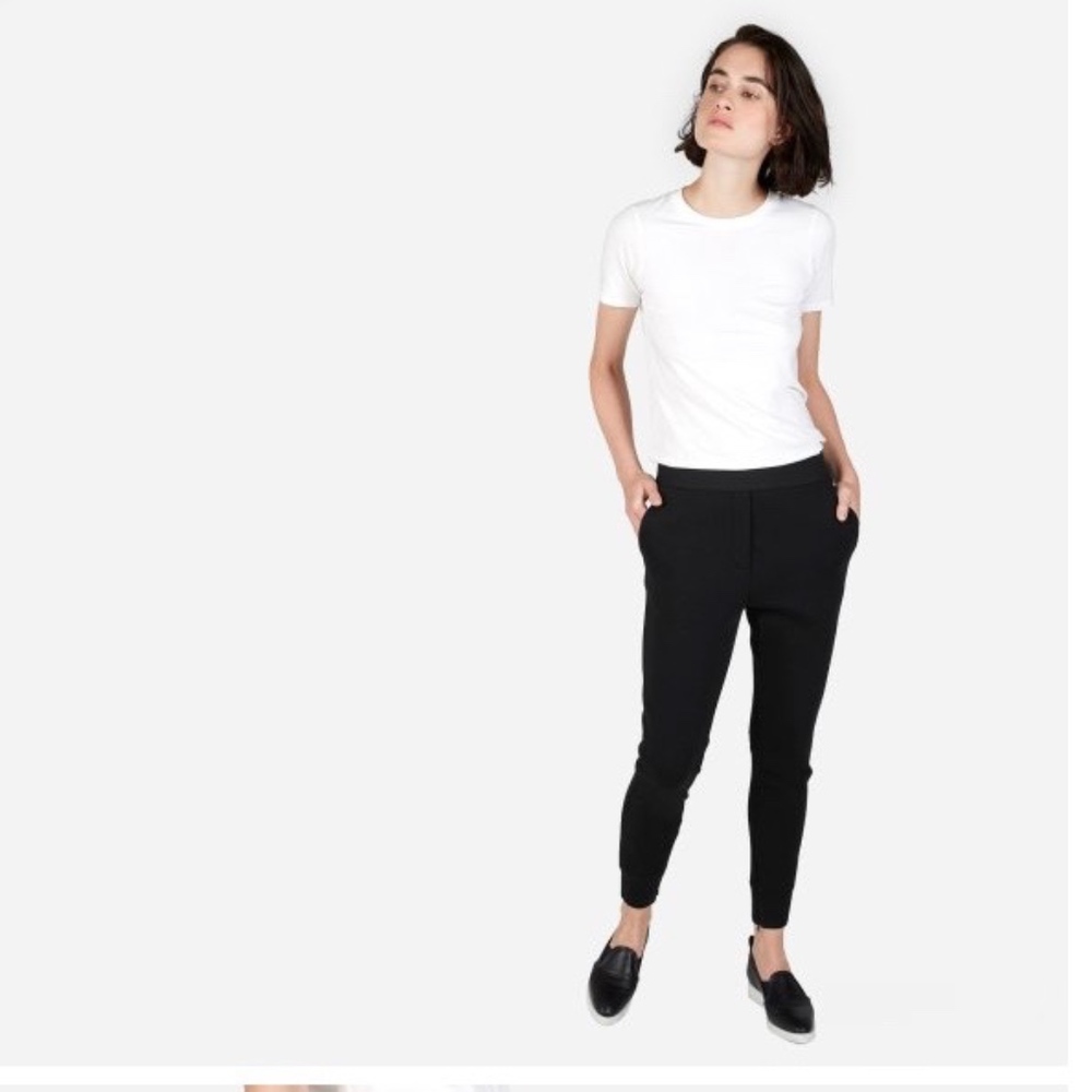Everlane Street Fleece Pant